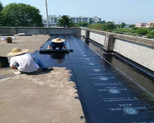 女儿墙与楼顶整体防水施工